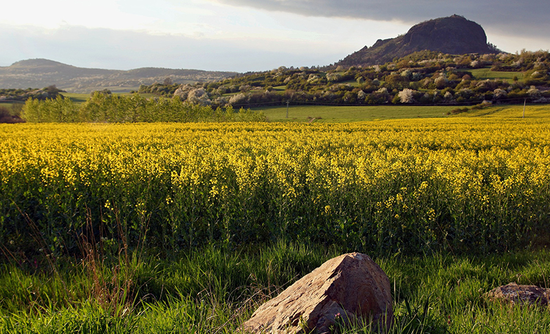 Bohemia-countryside Bohemia-countryside