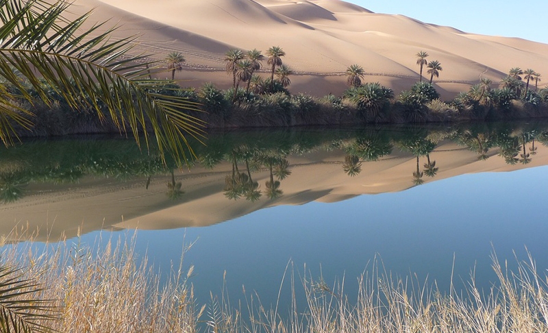 Libya-oasis