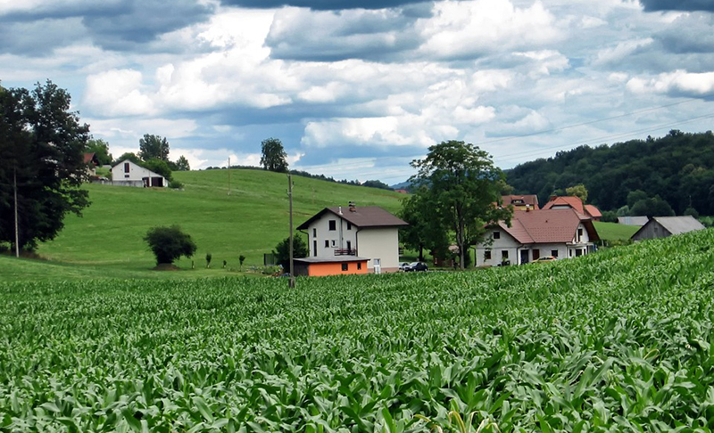 Fields-and-houses Fields-and-houses